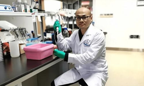 本导基因获凯旋创投千万级Pre-A轮融资，推进基于mRNA递送的基因治疗产品的临床应用及气功医疗融合前景