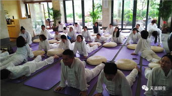 探索生命本源 第二届道家秘法疗愈与道医秘传技法深度体验营